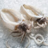 Premium Cuttlefish