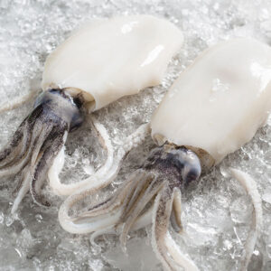 Peeled Soft Cuttlefish